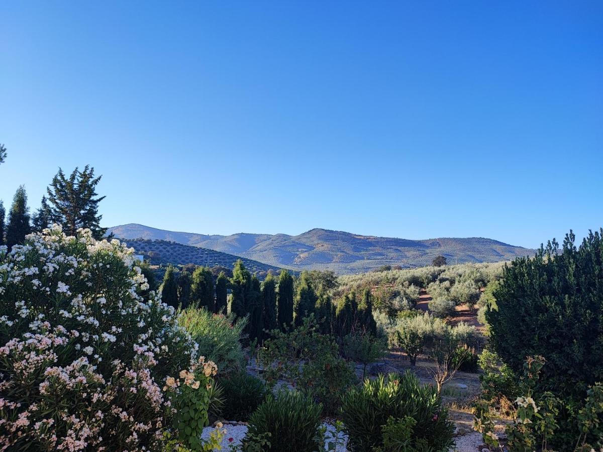 Cortijo Pennymaria Poolside Apartment Near Montefrio With Stunning Views 외부 사진