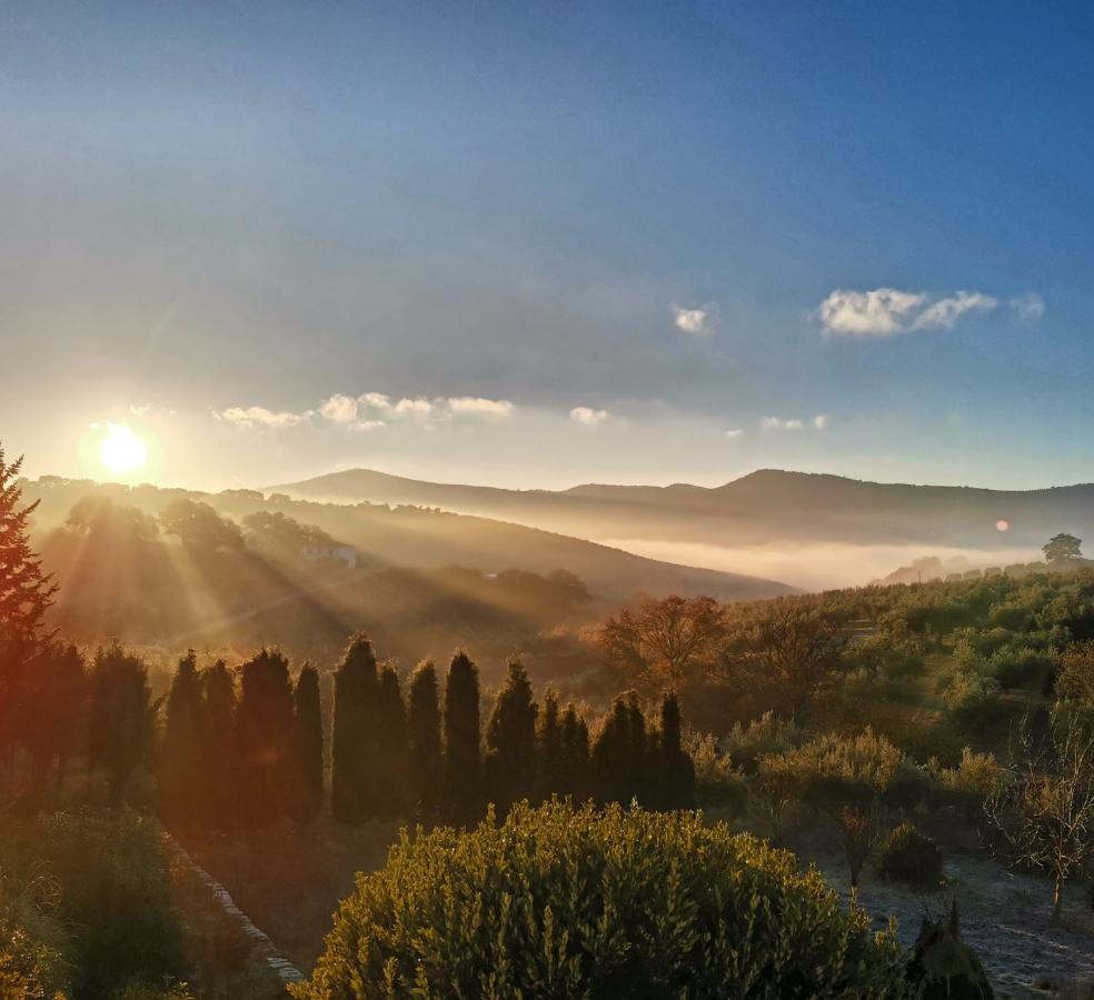 Cortijo Pennymaria Poolside Apartment Near Montefrio With Stunning Views 외부 사진