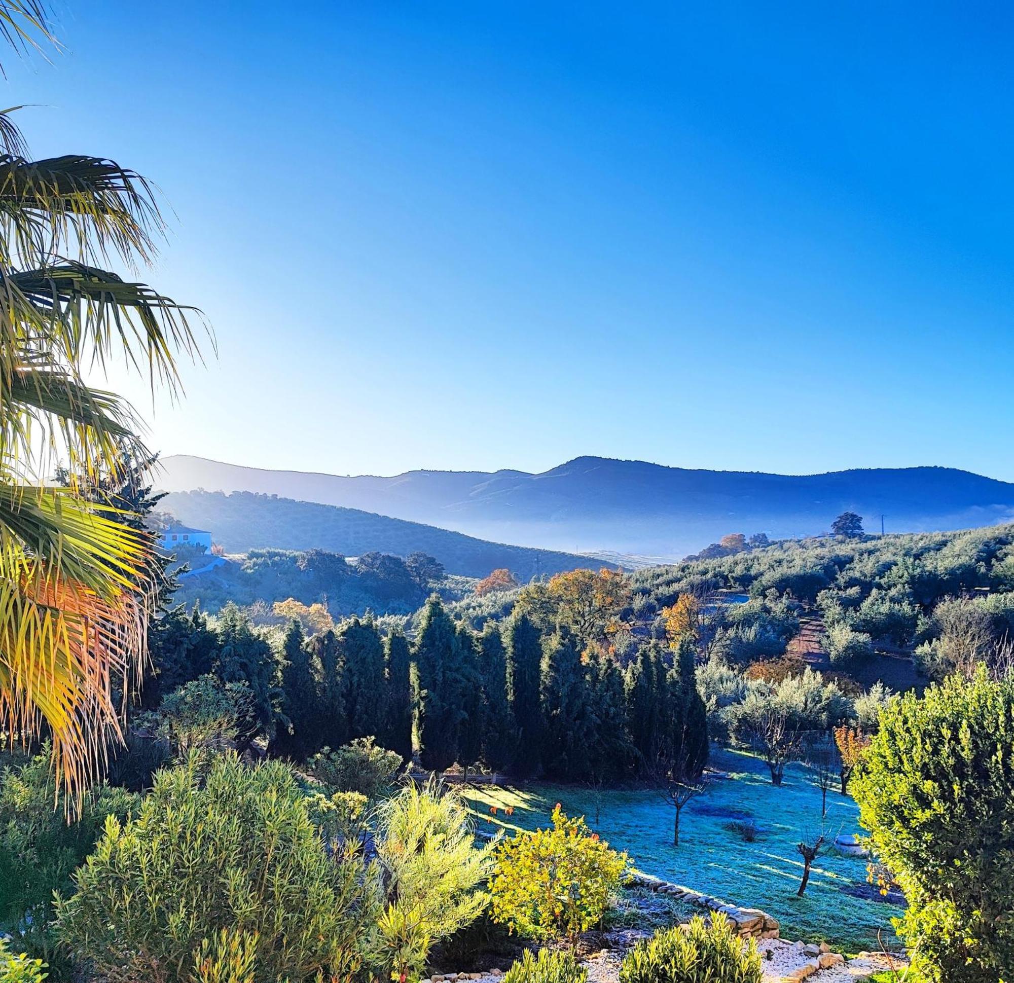 Cortijo Pennymaria Poolside Apartment Near Montefrio With Stunning Views 외부 사진